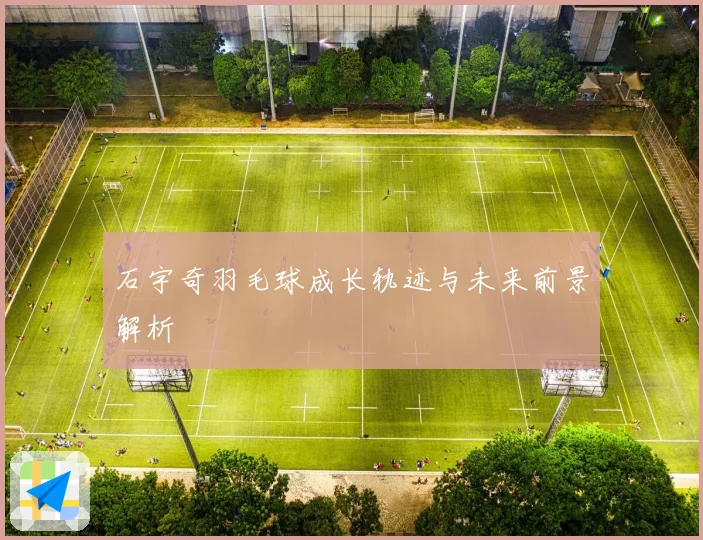石宇奇羽毛球成长轨迹与未来前景解析