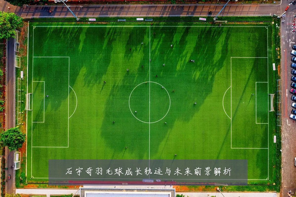 石宇奇羽毛球成长轨迹与未来前景解析
